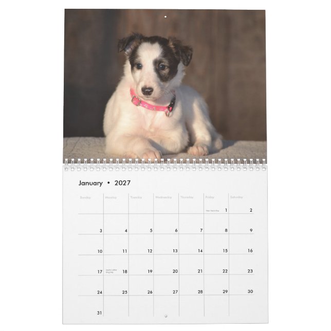 2015 Silken Windhound Puppies Calendar (Jan 2027)