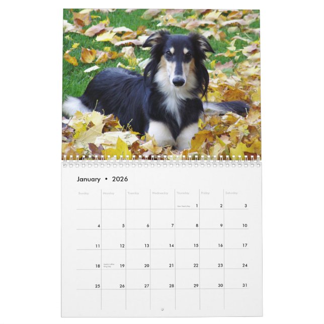 2015 Silken Windhounds Calendar (Jan 2026)