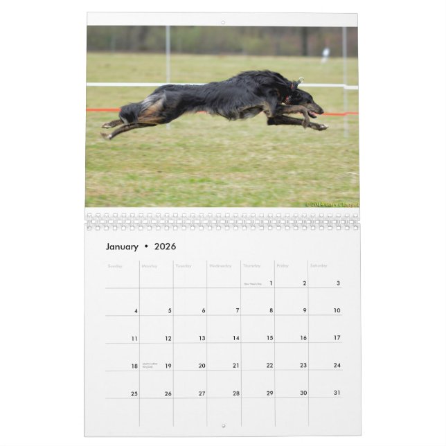 2015 Silken Windhounds in Action Calendar (Jan 2026)