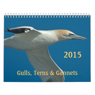 2015 Terns, Gulls and Gannets Monthly Calendar