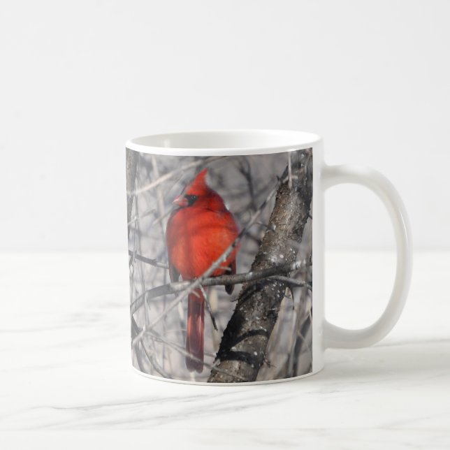2016 Bird Calendar Coffee Mug (Right)