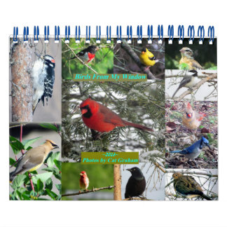 2016 Bird Calendar From My Window