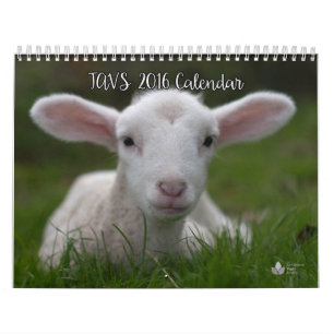 2016 Calendar of The Abolitionist Vegan Society