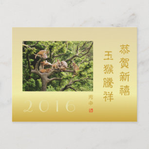 2016 Chinese New Year Custom Photo Monkey 玉猴騰祥 Holiday Postcard