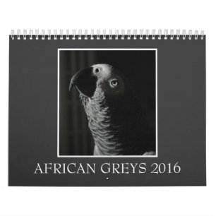 2016 Congo African Grey Parrot Calendar
