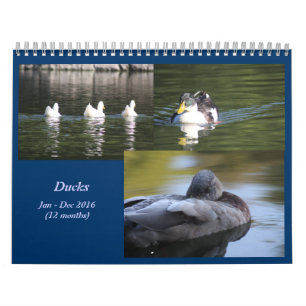 2016 Ducks Calendar