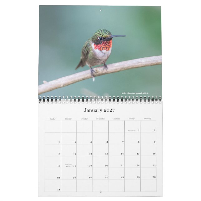 2016 Hummingbird Calendar (Jan 2027)