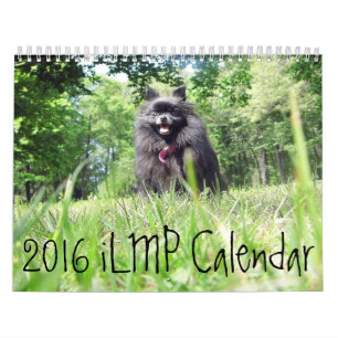 2016 iLMP Calendar