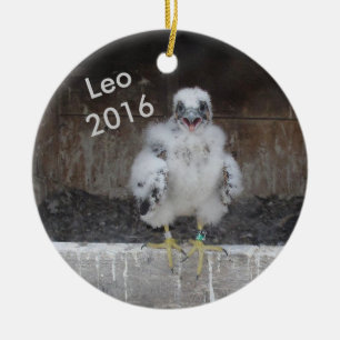 2016 Leo Ornament