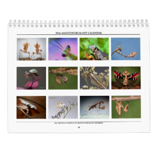 2016 Mantidforum High Resolution Wall Calendar