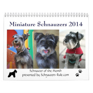 2016 Mini Schnauzer Calendar