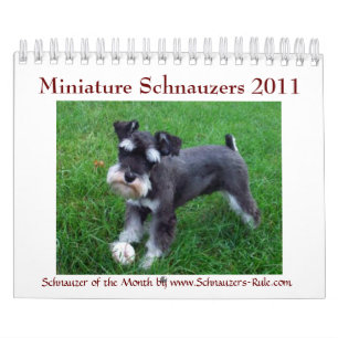 2016 Miniature Schnauzer Calendar