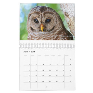 2016 OwlWatch Calendar
