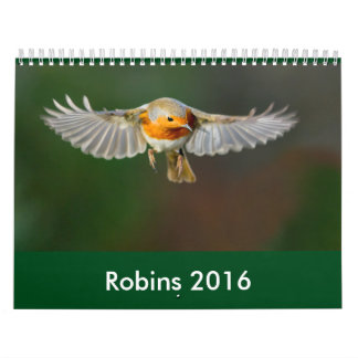 2016 Robin Calendar