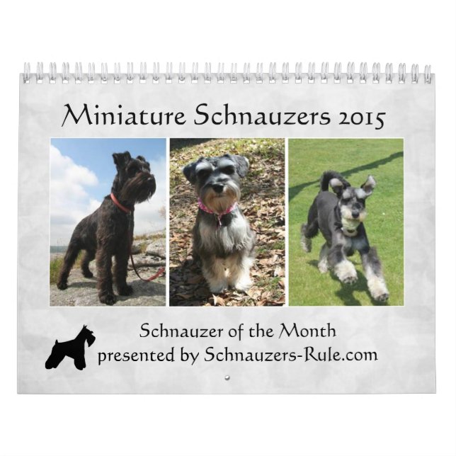 2016 Schnauzer Calendar (Cover)