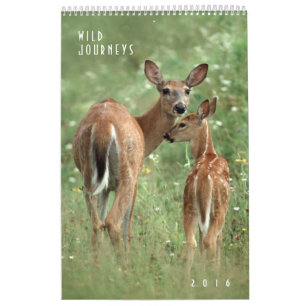 2016 Wildlife Wall Calendar - Wildlife Photography