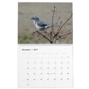 2017  Birds of North America Calendar