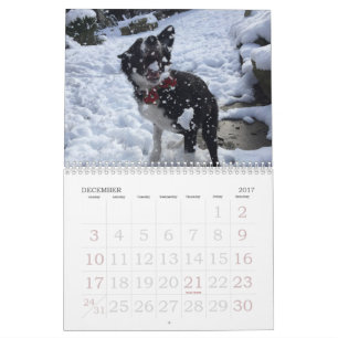 2017 Border Collie Calendar