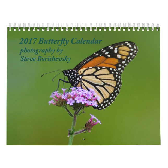 2017 Butterfly Calendar (Cover)