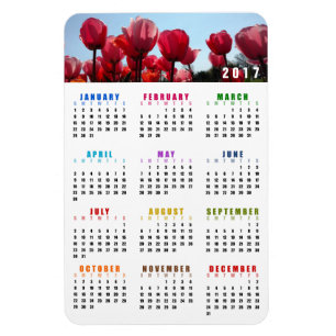 2017 Calendar Magnet - Pink Peach Tulips Garden