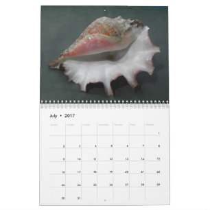 2017 Calendar of Shells