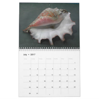 2017 Calendar of Shells