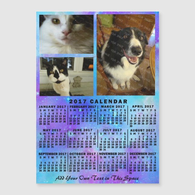 2017 Calendar (See Description for New Version)  (Front)