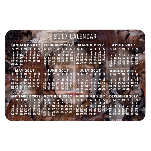 2017 Calendar (See Description for New Version)  Magnet (Horizontal)