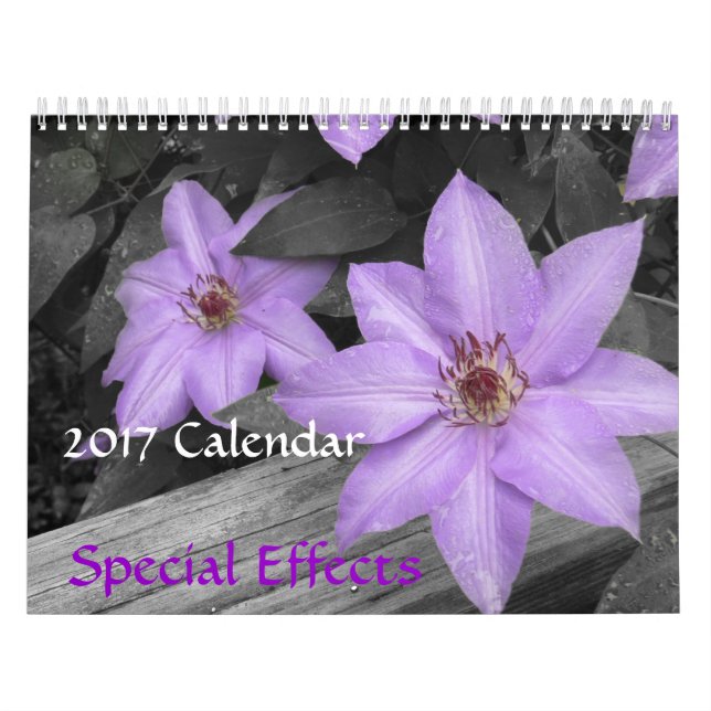 2017 Calendar-Special Effects Calendar (Cover)