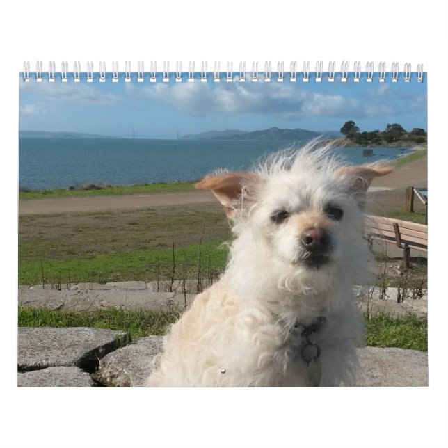2017 Gwendolyn Calender Calendar (Cover)