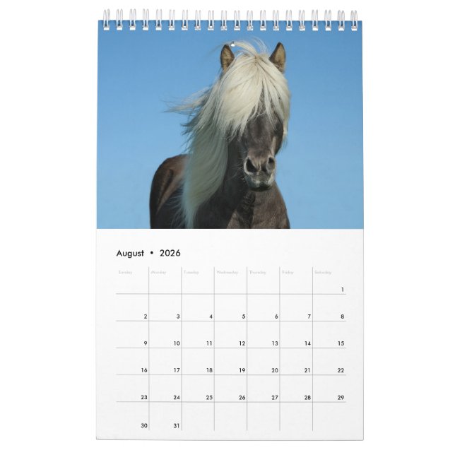 2017 Horse Calendar (Aug 2026)