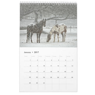 2017 Horse Calendar