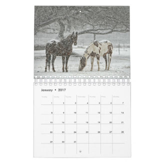 2017 Horse Calendar