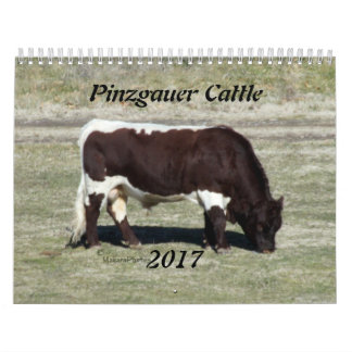 2017 Pinzgauer Calendar-change year as needed Calendar