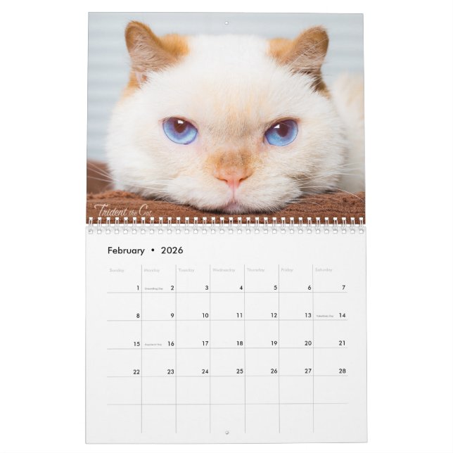 2017 Trident the Cat Calendar (Feb 2026)