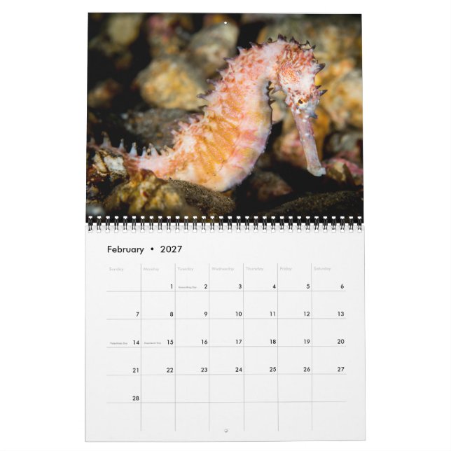 2017 Underseas Calendar (Feb 2027)