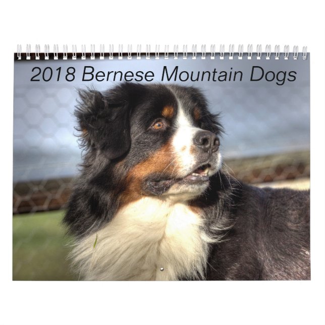 2018 Bernese Mountain Dog Calendar (Cover)
