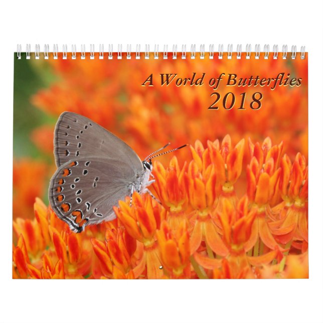 2018 Butterfly Calendar (Cover)