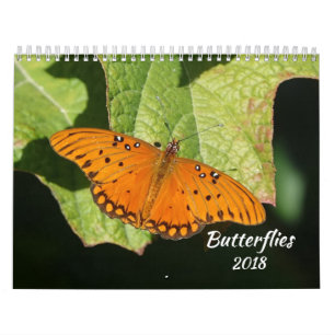 2018 Butterfly Calendar