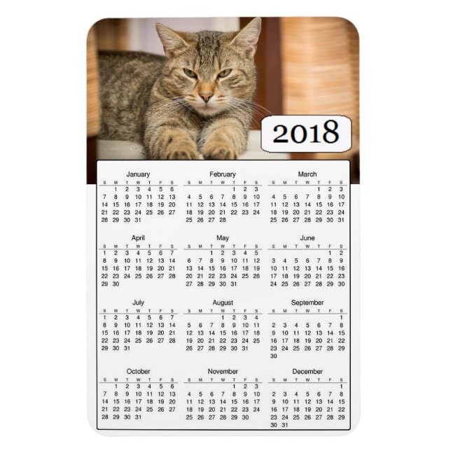 2018 Calendar Personalised Cat Photo Magnet (Vertical)