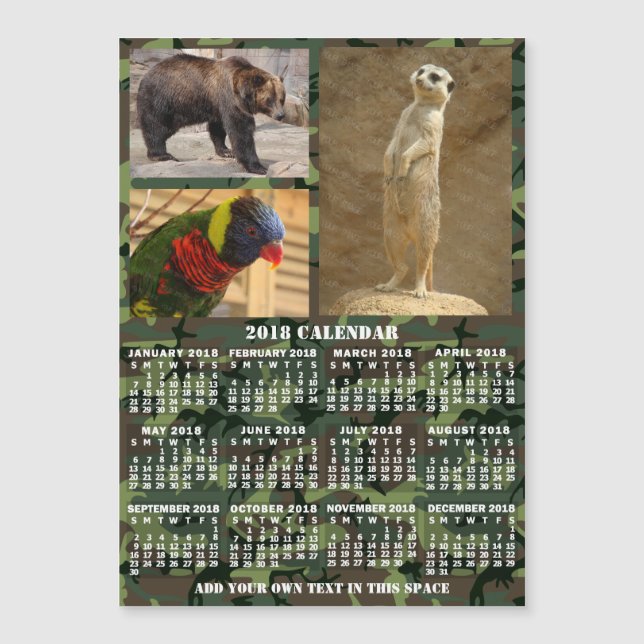 2018 Calendar (See Description for New Version)  (Front)