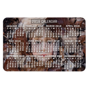 2018 Calendar (See Description for New Version)  Magnet
