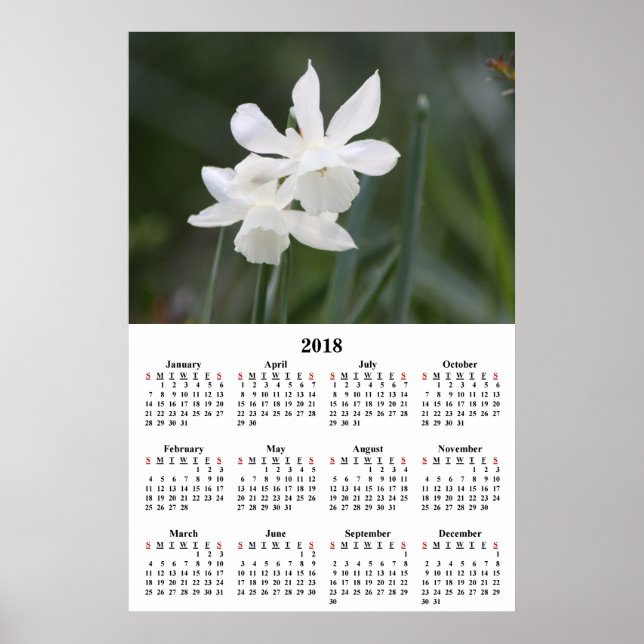 2018 Calendar White Daffodils Photograph Poster (Front)