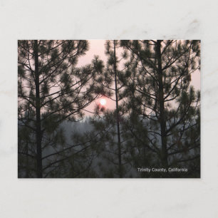 2018 Carr Fire Sunrise... Postcard