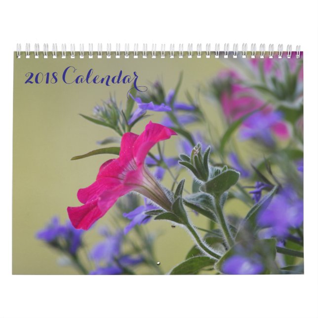 2018 Full Page Images Calendar (Cover)