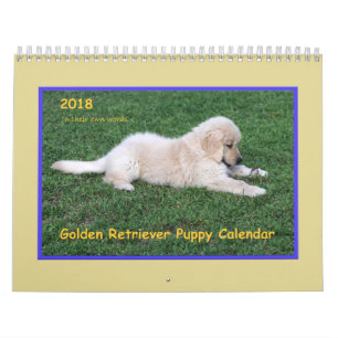 2018 Golden Retriever Puppy Calendar