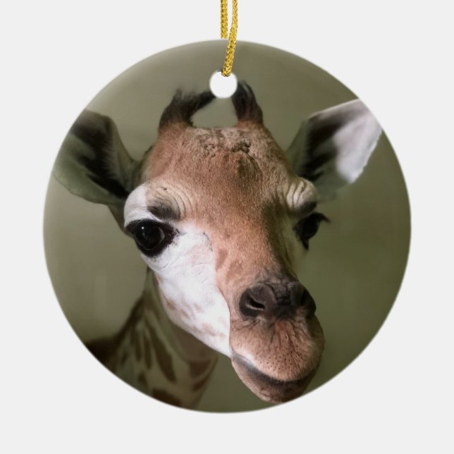 2018 Holiday Ornament; Penny the Giraffe Ceramic Ornament (Front)