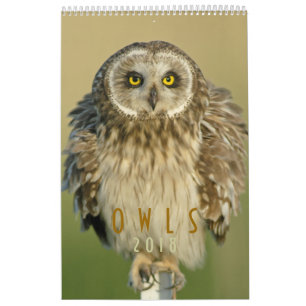 2018 Owl Lovers Wall Calendar
