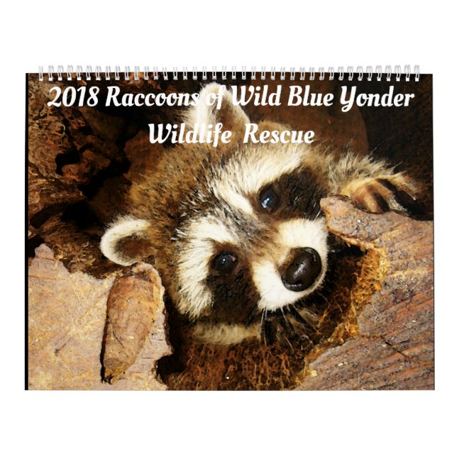 2018 Raccoons of Wild Blue Yonder Wildlife Rescue Calendar (Cover)