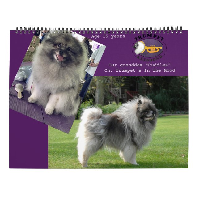2018 Trumpet Keeshond Calendar (Back)